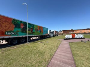 WhatsApp Image 2026-03-02 at 10.22.15 (3)